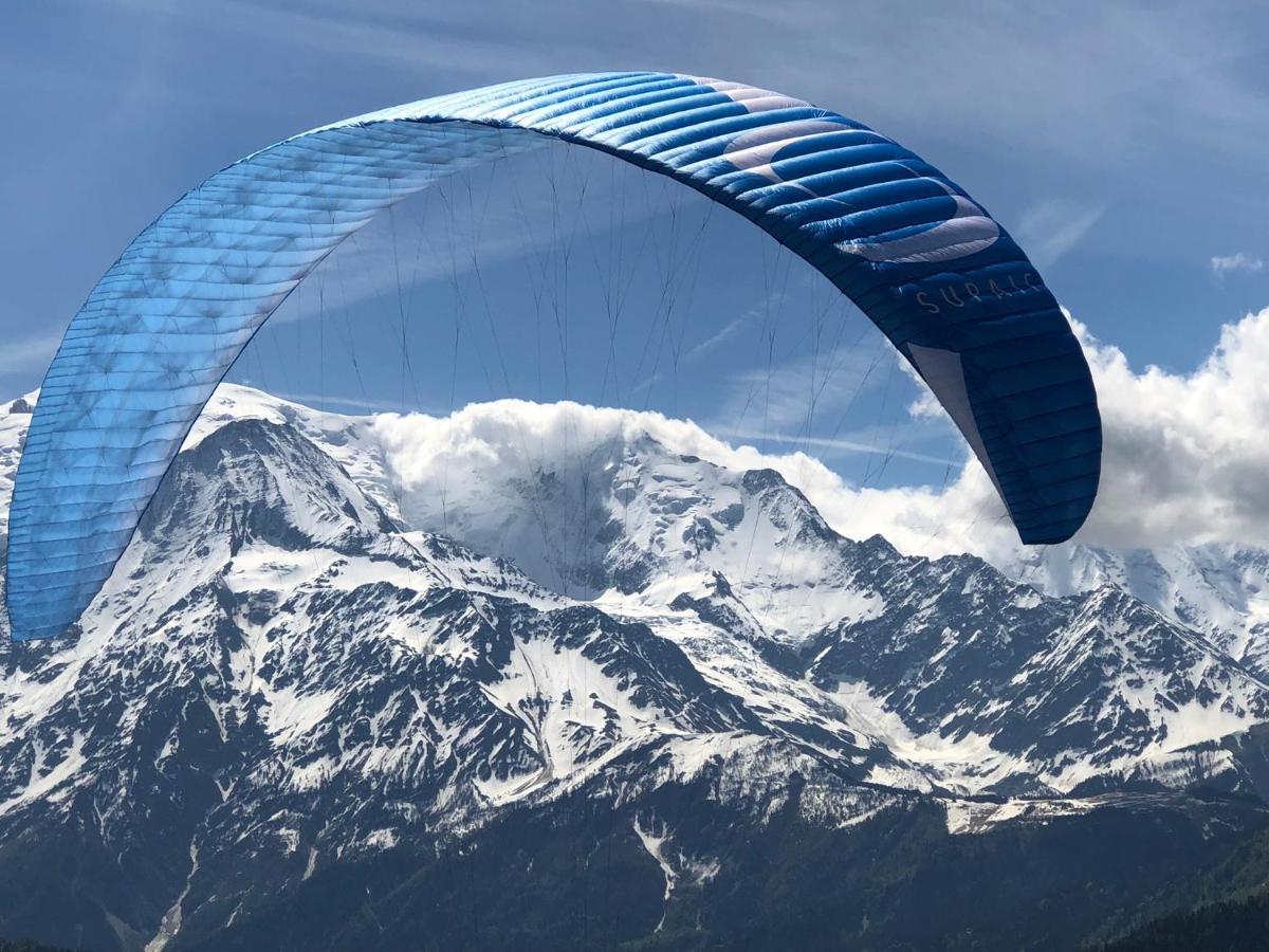 Fizhome Mt Blanc Passy  Buitenkant foto