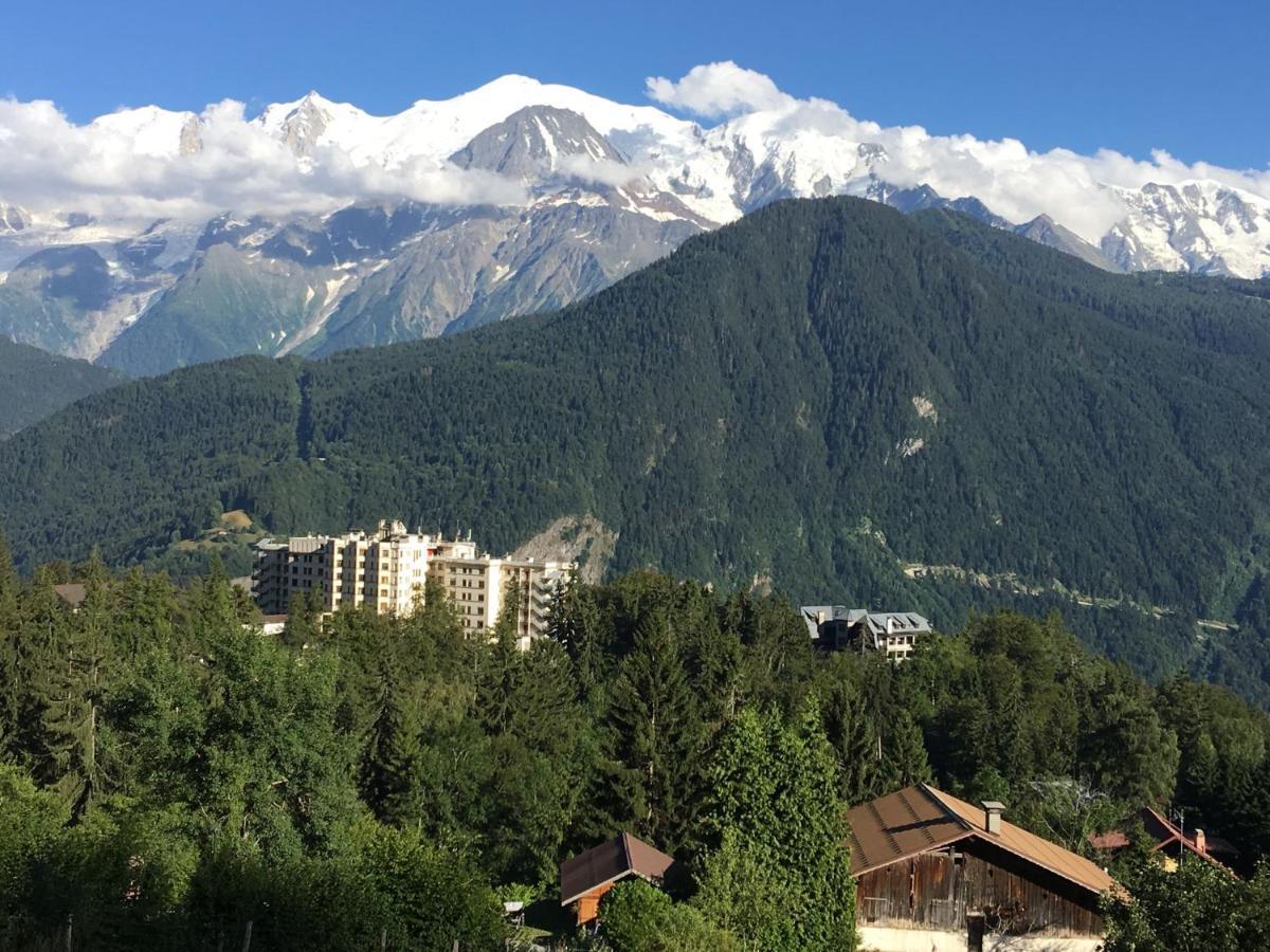 Fizhome Mt Blanc Passy  Buitenkant foto